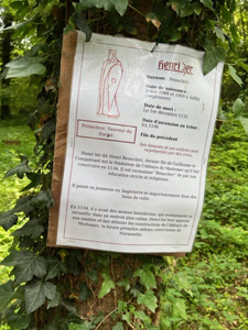 notice on tree