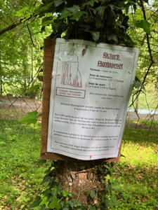 notice on tree