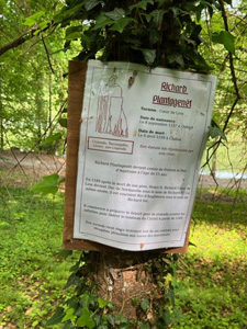 notice on tree
