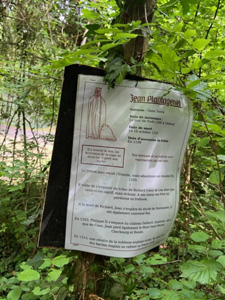 notice on tree